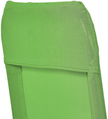 limonka szcegół.jpg