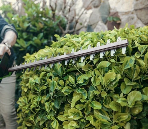 Nożyce do żywopłotu w trakcie pracy - ujęcie nr 3