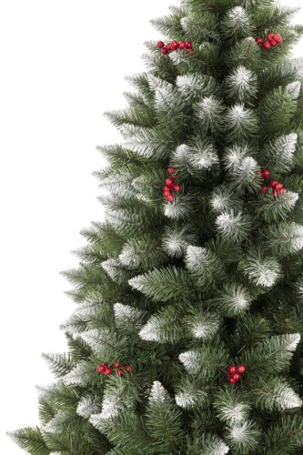 Choinka Sosna Bielona Z Czerwoną Jarzębiną 220cm