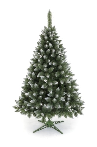 Choinka Sosna Bielona Z Srebrną Jarzębiną 220cm