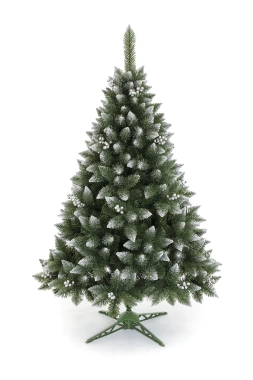Choinka Sosna Bielona Z Srebrną Jarzębiną 220cm