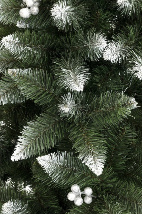 Choinka Sosna Bielona Z Srebrną Jarzębiną 220cm