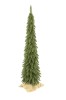 Choinka Świerk Naturalny w Donicy + Juta 160 cm