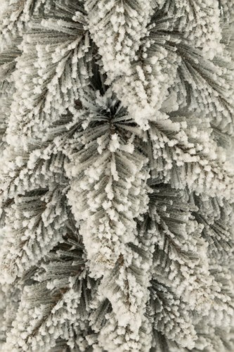 Choinka Świerk Śnieżony w Donicy + Juta 160 cm