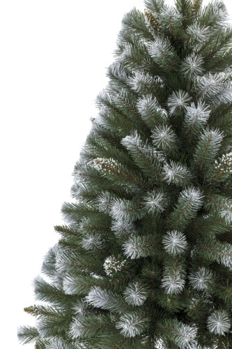 Choinka Pniak Świerk Diamentowy Na Prosto 150cm