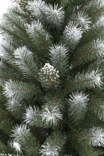 Choinka Pniak Świerk Diamentowy Na Prosto 150cm