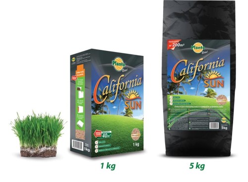 2dca0320d1220e7afe54fc6abd5fa5fd