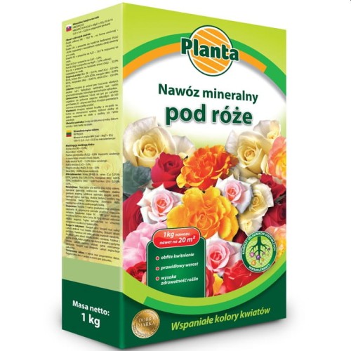róze.jpg