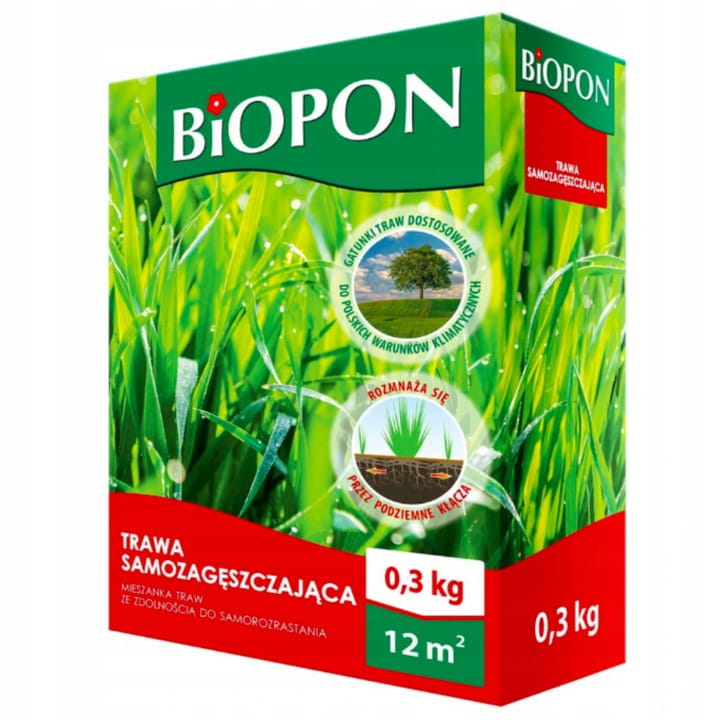 samozagę.jpg