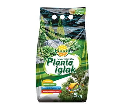 iglak.jpg