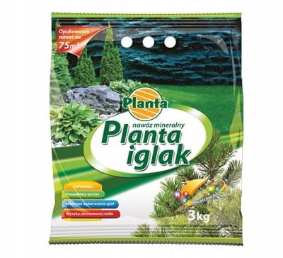 planta.jpg