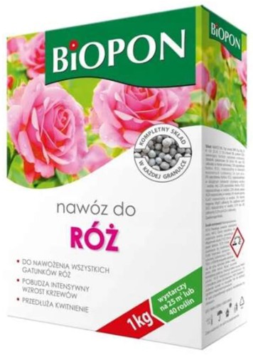 róza.jpg
