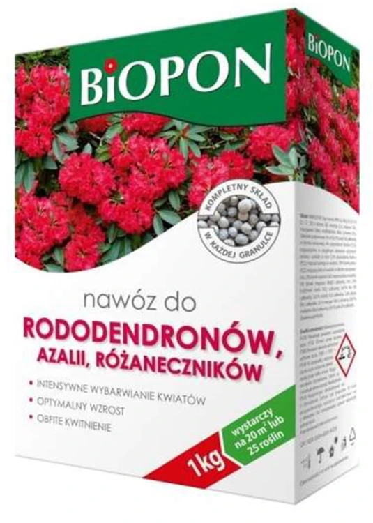 rodo.jpg