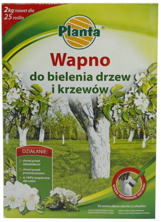 wapno.jpg