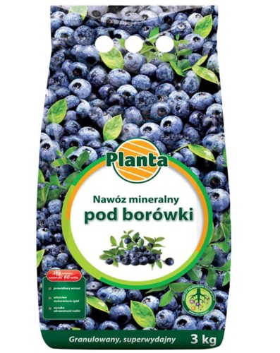 borówki.jpg
