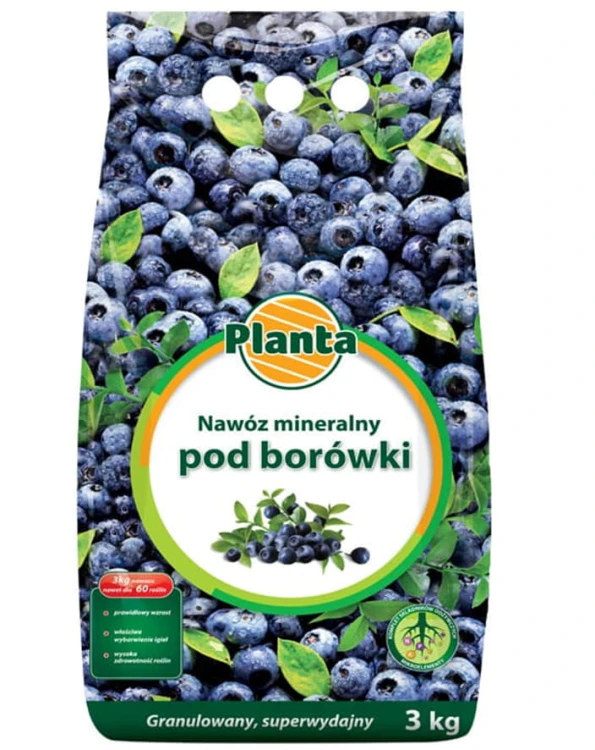 borówki.jpg