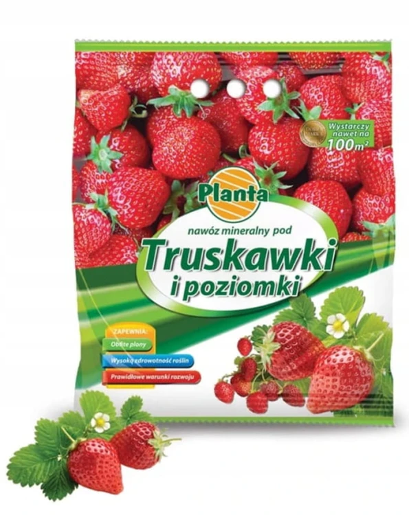 truskawki.jpg