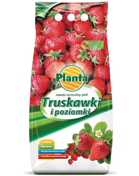 truskawki.jpg