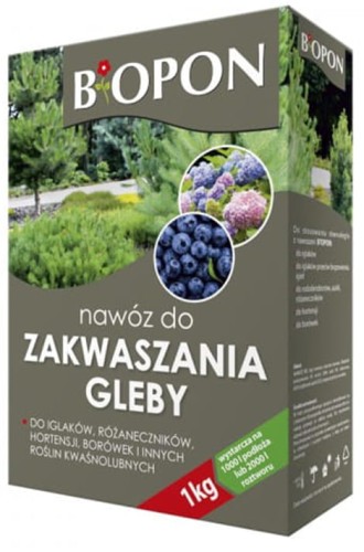 zakwas.jpg