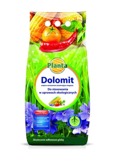 planta-768x1024.jpg