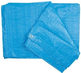 Plandeka Niebieska 5 X 6 M 70g/M2 Planta