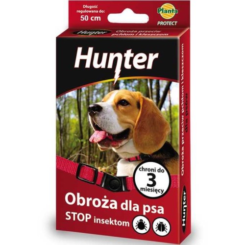 hunetr obroża dla psa.jpg