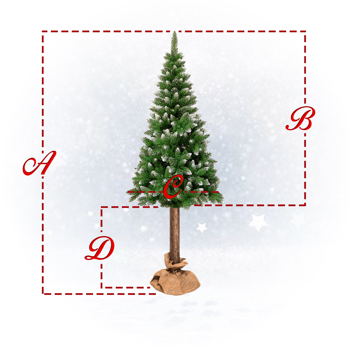 WYMIARY A = 220cm  B = 155cm  C = 90cm  D = 65cm  tolerancja wymiarów: +/- 5cm  ilość gałązek: 390  tolerancja gałązek: +/- 5%