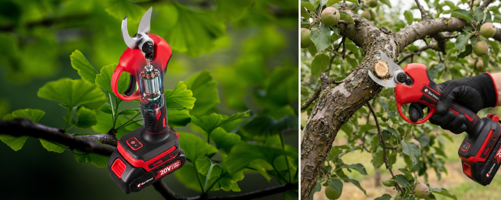 Sekator akumulatorowy - rewolucja w przycinaniu krzewów